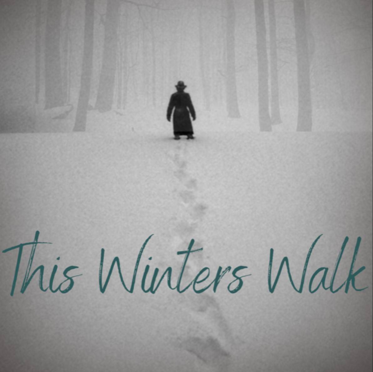 This Winters Walk